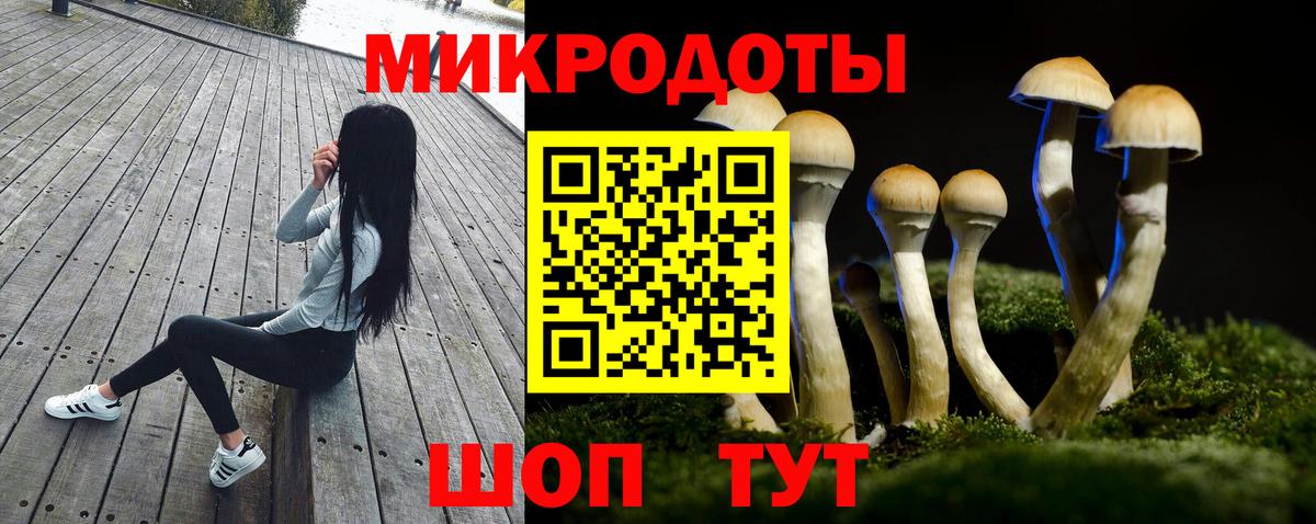 Галлюциногенные грибы Psilocybine cubensis Коломна