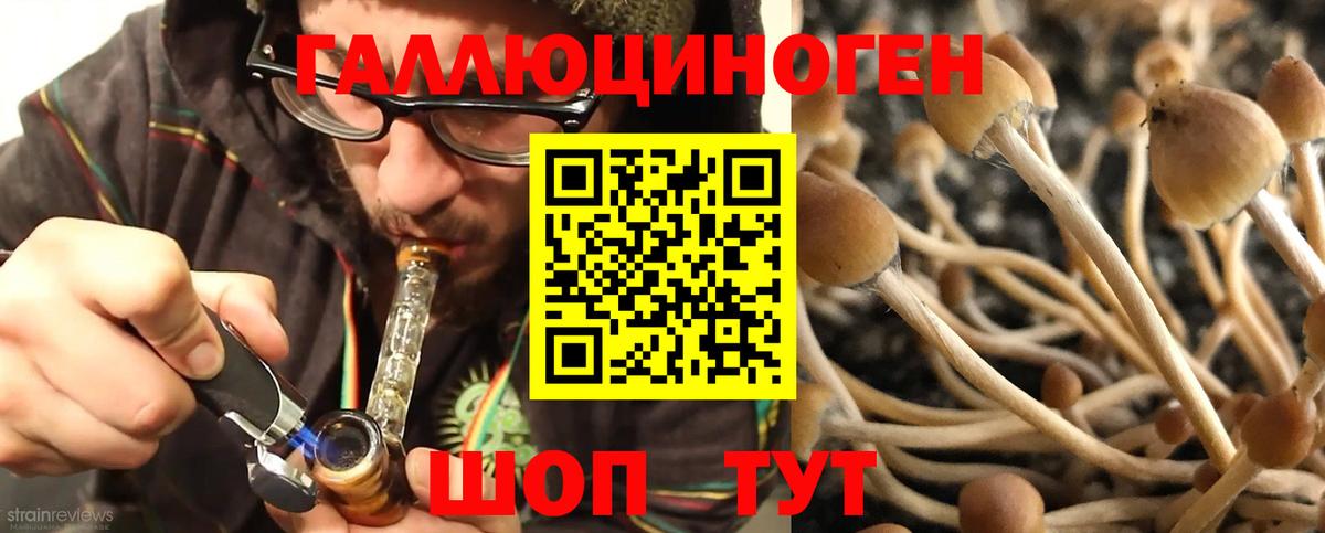 Галлюциногенные грибы Psilocybine cubensis  Вход с VPN  Коломна  Галлюциногенные грибы прущие грибы 